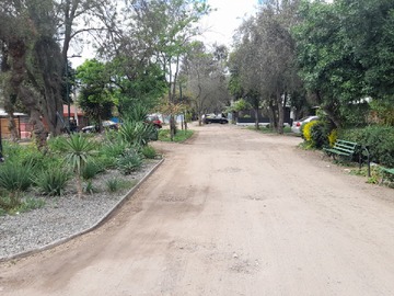 Imagen 26