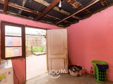 Imagen 13