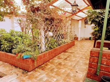 Imagen 15