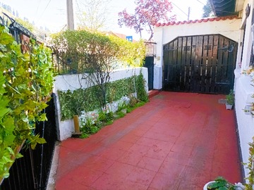 Imagen 21