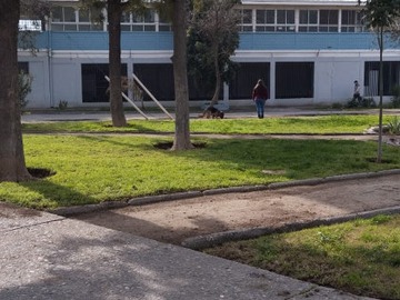 Imagen 15