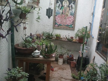Imagen 4