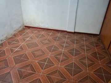 Imagen 7