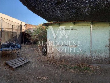 Imagen 4