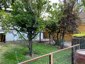 Imagen 15