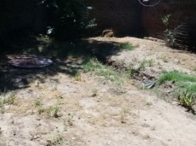 Imagen 20