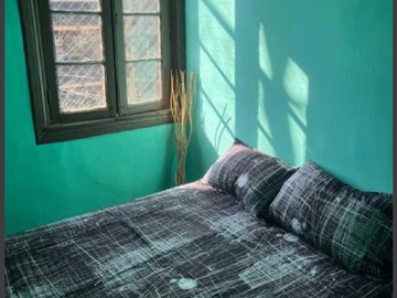 Imagen 5