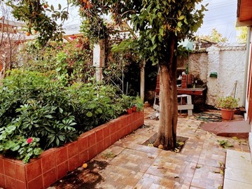 Imagen 25
