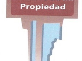 Imagen 12