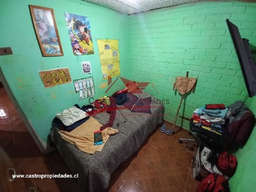 Imagen 14
