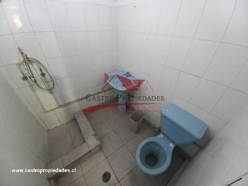 Imagen 15