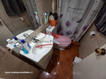 Imagen 13