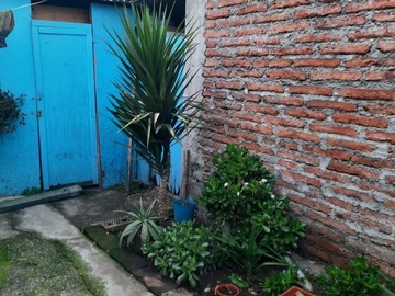 Imagen 29