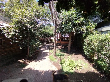 Imagen 28