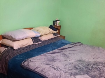 Imagen 11