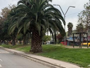 Imagen 27