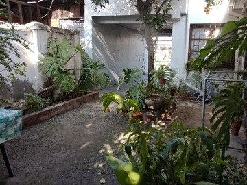 Imagen 10