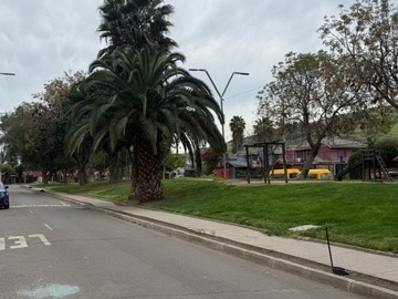 Imagen 28