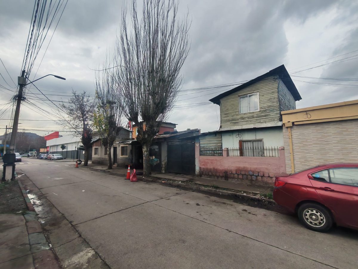 frontis