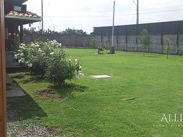 Imagen 16
