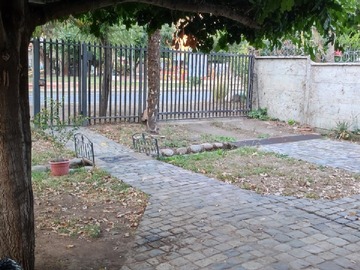 Imagen 20