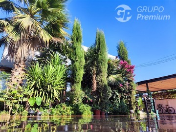 Imagen 6