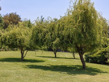 Imagen 26