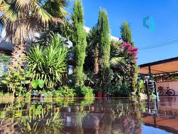 Imagen 8