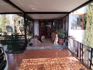 Imagen 6