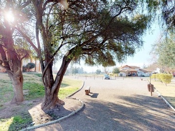 Imagen 7