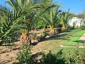 Imagen 11