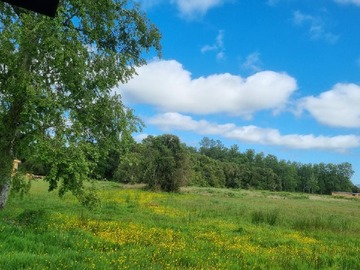 Venta / Casa / Río Bueno