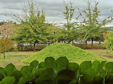 Imagen 8
