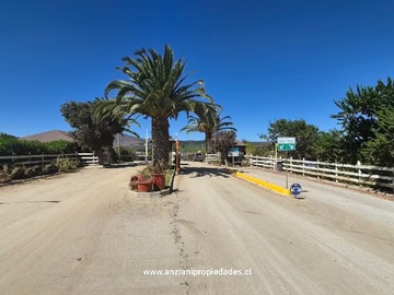 Imagen 26
