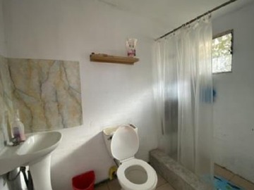 Imagen 14