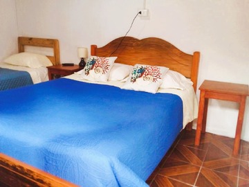 Imagen 7
