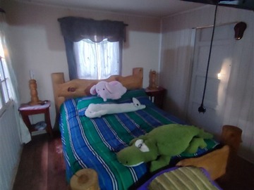Imagen 13