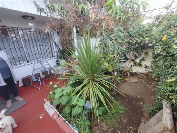 Imagen 6