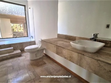 Imagen 19
