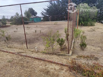 Imagen 11
