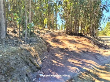Imagen 25