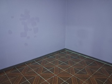 Imagen 12