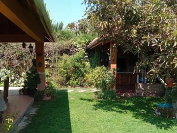 Imagen 5