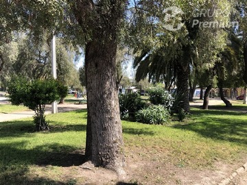 Imagen 18