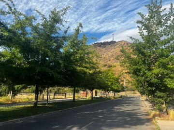 Imagen 5