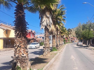 Imagen 6