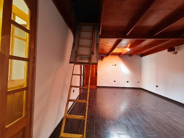 Imagen 5