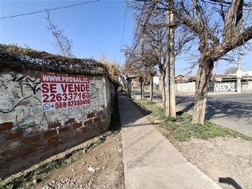 Imagen 19