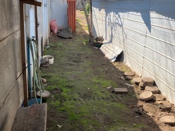 Imagen 10