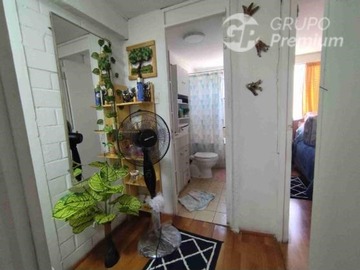 Imagen 12